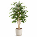 Kunstbaum Ficus 180 cm Kunststoff Grün für Innenräume mit rundem Pflanztopf