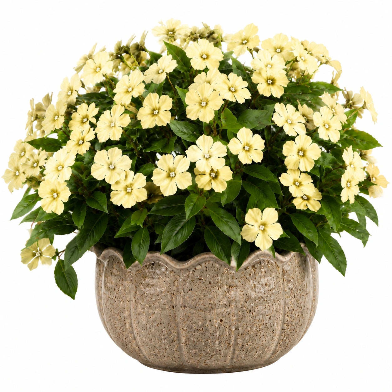 Kunstblumen im Topf 48 cm Gelb Grün mit Keramiktopf dekorativ